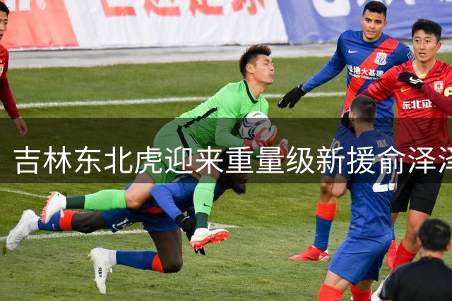 吉林东北虎迎来重量级新援俞泽泽加盟